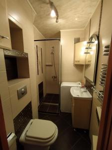 a bathroom with a toilet and a shower and a sink at NoclegwGdyni24 (44m) in Gdynia