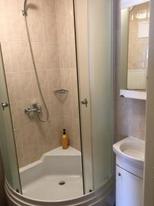 y baño con ducha y puerta de cristal. en sunny apartment, en Ventspils