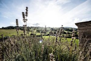 Gallery image of La Casa Vacanza con vista panoramica sui vigneti in Rotella