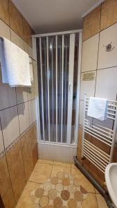 Vonios kambarys apgyvendinimo įstaigoje Pensiunea Olimpia