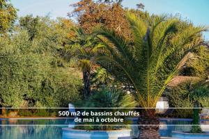 a palm tree in front of a swimming pool at Chalet T3/clim/wifi/pkg/terrasse/15 min plages in La Teste-de-Buch