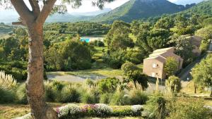 a view of a valley with a house and trees at Résidence U Nebbiu in Olmeta-di-Tuda