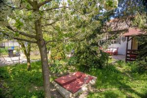 a bench sitting in the grass next to a tree at Old House in Vama Veche +8 photos