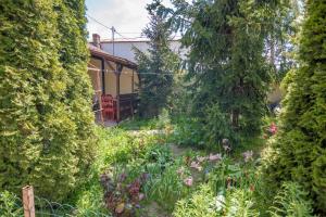 a garden in front of a house with plants at Old House in Vama Veche