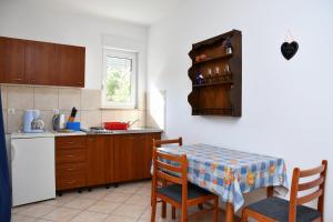 Η κουζίνα ή μικρή κουζίνα στο apartmani Novotny plavi