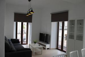 TV a/nebo společenská místnost v ubytování Apartamento centro Lorenzo Borrego