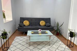 - un salon avec un canapé et une table basse dans l'établissement Apartament Cristina - Băile 1 Mai, Felix, Bihor, reducere jumătate intrare Aquapark President, à Baile Unu Mai