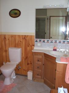 a bathroom with a toilet and a sink and a mirror at Bungadoo Country Cottage in Bullyard