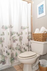 a bathroom with a toilet and a shower curtain at Apartment in Villas Del Faro Resort with WIFI in Maunabo
