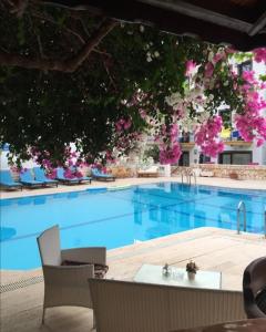 a large swimming pool with chairs and pink flowers at Sevgi Hotel Kalkan in Kalkan
