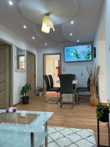 TV a/nebo společenská místnost v ubytování Apartament Cristina - Băile 1 Mai, Felix, Bihor, reducere Aquapark President