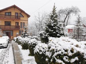 a snow covered christmas tree in front of a house at Casa Bunicii Comarnic in Comarnic