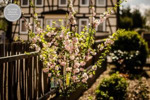 a fence with pink flowers in front of a house at Ferienwohnung Scandic Hygge Bevern im Weserbergland in Bevern
