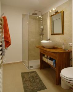 een badkamer met een wastafel en een douche bij Homely Apartment in the Center with Garden View in Gmunden