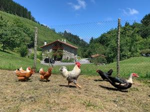 Agroturismo Urresti — foto 6 de 14