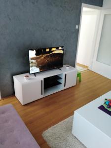 TV i/ili multimedijalni sistem u objektu Rudolf apartmani