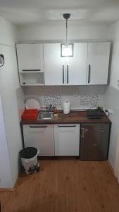 a small kitchen with white cabinets and a sink at Apartmani LolaNola in Vrnjačka Banja