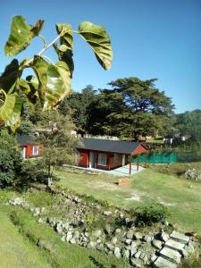 Taman di luar Cabañas los Plátanos