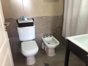 La petite salle de bains est pourvue de toilettes et d'un lavabo. dans l'établissement Patagonia Temporary Apartments, à Río Grande