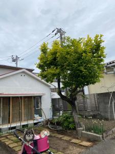 Jardín al aire libre en 沼津ライダーハウスしんちゃん