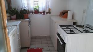 Kuchyň nebo kuchyňský kout v ubytování Apartment Andela