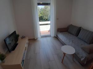 TV a/nebo společenská místnost v ubytování Apartment Nikolina