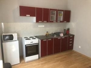 a small kitchen with a stove and a microwave at Apartman BEA, SNP 12 Veľký Krtíš in Veľký Krtíš