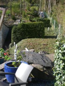 Garður fyrir utan B&B L'ourthe