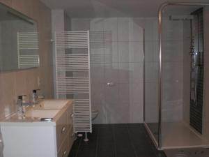 a bathroom with a shower and a sink and a toilet at B&B L'ourthe in Houffalize