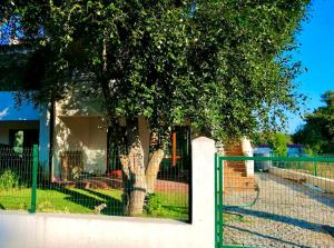 A garden outside Villa Oasis етаж1