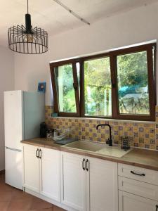 A kitchen or kitchenette at Villa Oasis етаж1