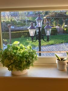 a window with two potted plants on a window sill at B&B De Rentmeesterhoeve in Reningelst