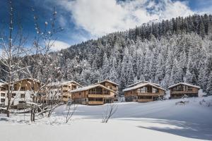 a lodge in the snow with snow covered trees at PRIVÀ Alpine Lodge in Lenzerheide
