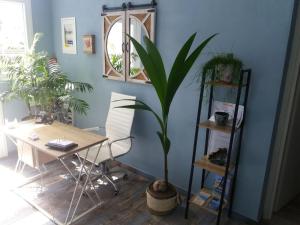 a room with a table and a plant in it at Boutique Pelayo in Leptokarya