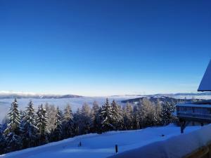 Almchalet Hüttenzauber durante l'inverno