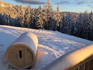 Almchalet Hüttenzauber durante l'inverno