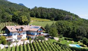 eine Luftansicht eines Hauses auf einem Weinberg in der Unterkunft Kerschbamerhof im Süden Südtirols in Kurtatsch