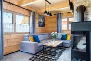 a living room with a couch and a fireplace at Osada Zagrody Dzianisz in Dzianisz