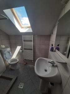 a bathroom with a toilet and a sink and a skylight at Casa Edy in Călimăneşti +54 photos