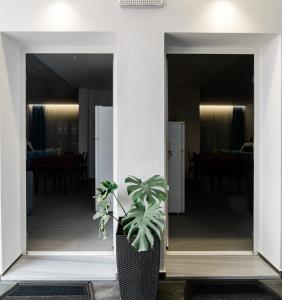 Fotografie z fotogalerie ubytování Athena Center Apartments v destinaci Sivota