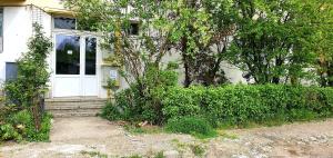 a house with a white door and a tree at Nordapartament in Suceava