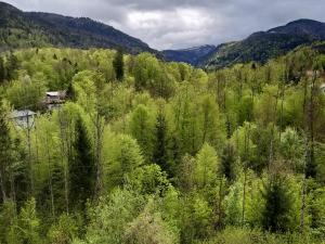 Příroda nedaleko apartmánu