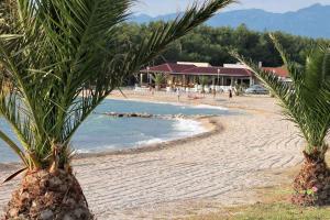 a beach with palm trees and people in the water at Apartment Povljana 1 in Povljana