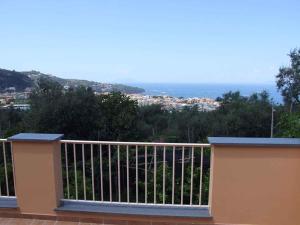 Príroda v okolí apartmánu + 17 fotografií