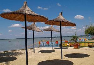 Príroda v okolí apartmánu + 13 fotografií