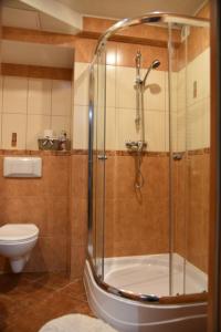 カルパチにあるKarkonoska 12のバスルーム(シャワー、トイレ付)