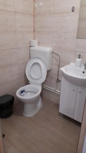 ein Badezimmer mit einem weißen WC und einem Waschbecken in der Unterkunft Casa Elena Eselnita in Eşelniţa