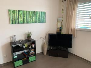 TV a/nebo společenská místnost v ubytování C&C Eco Studio
