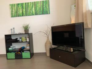 TV a/nebo společenská místnost v ubytování C&C Eco Studio