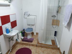 a bathroom with a toilet and a shower and a sink at Green House in Gheorgheni +25 photos